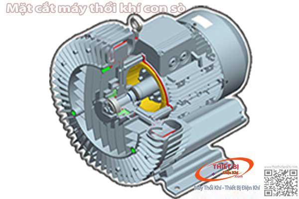 Máy thổi khí dạng con sò